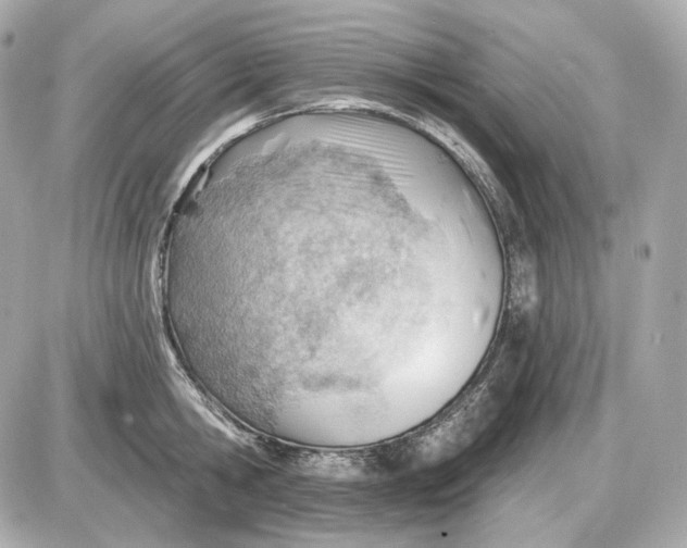 X0000087550806200705112120