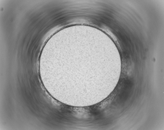 X0000087550807200705112120