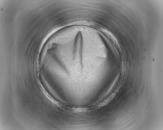 X0000087550808200705112120