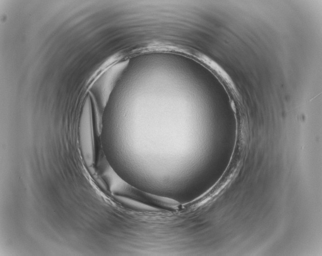 X0000087550809200705112120