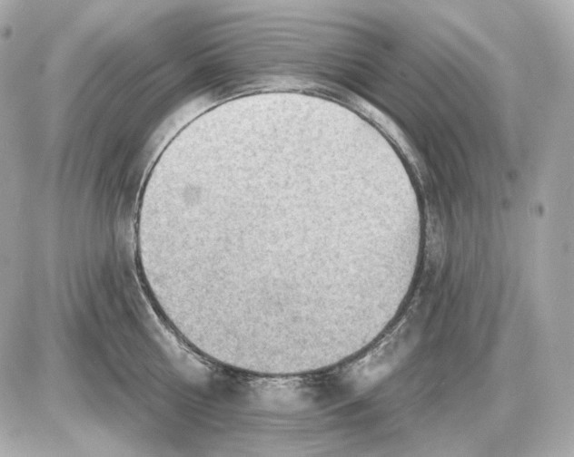 X0000087550810200705112120