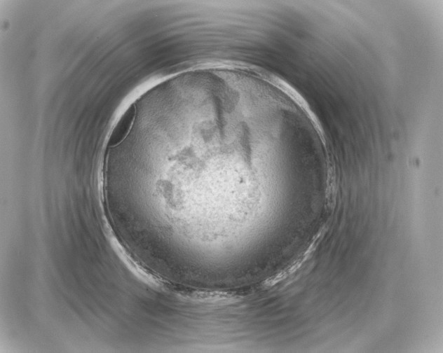 X0000087550811200705112120