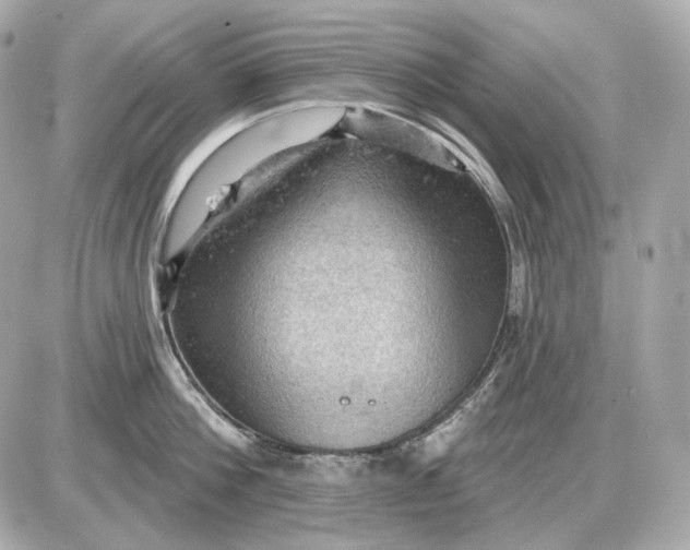 X0000087550812200705112120