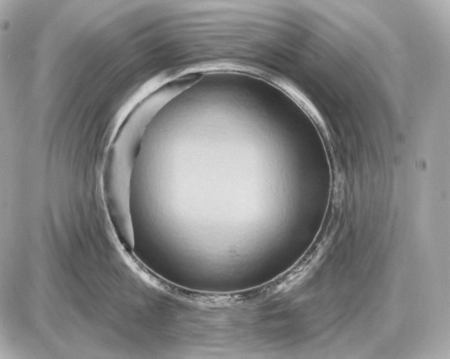 X0000087550813200705112120