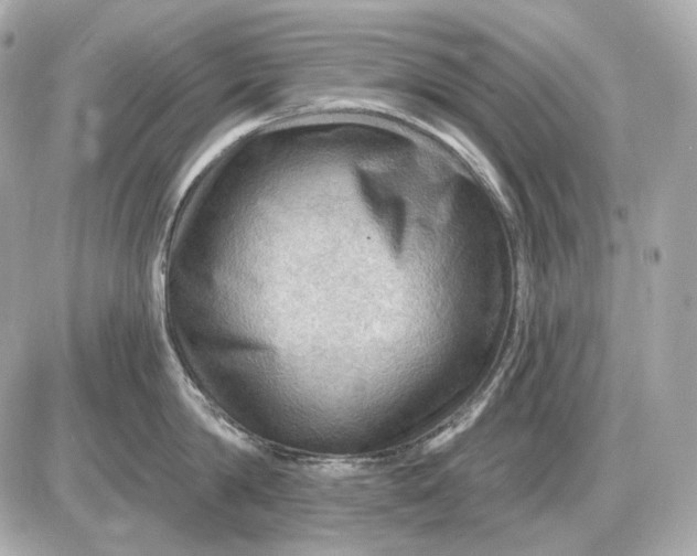 X0000087550814200705112120