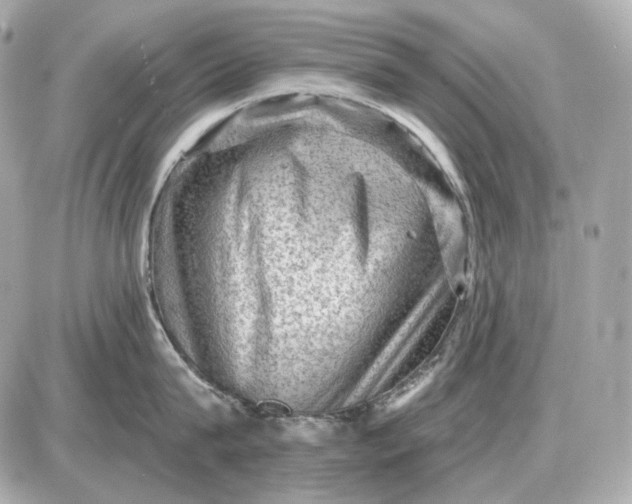 X0000087550815200705112120