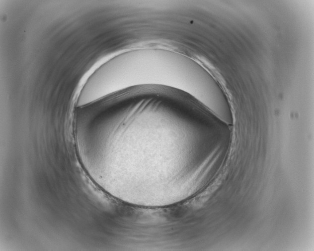 X0000087550816200705112120