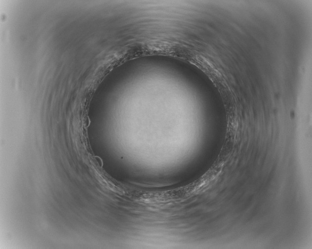 X0000087550817200705112119