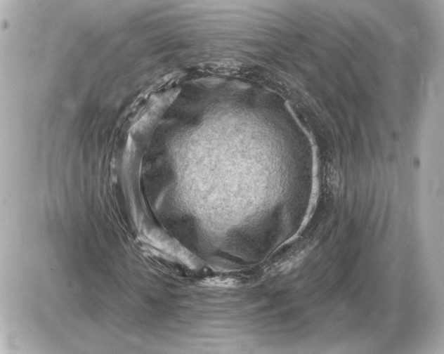 X0000087550818200705112119