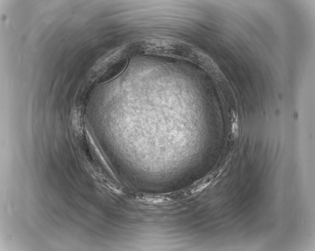 X0000087550819200705112119