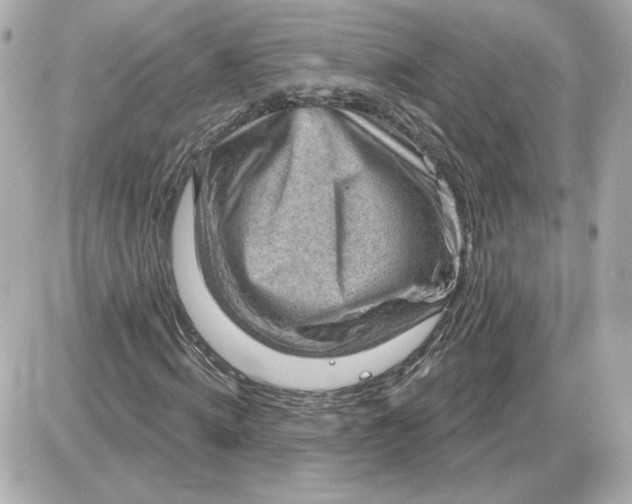 X0000087550820200705112119