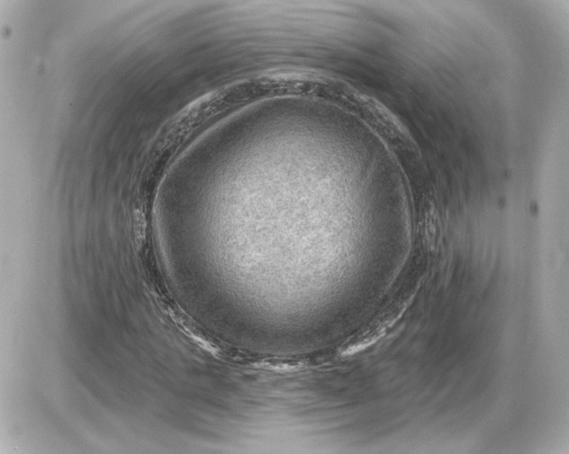 X0000087550821200705112119