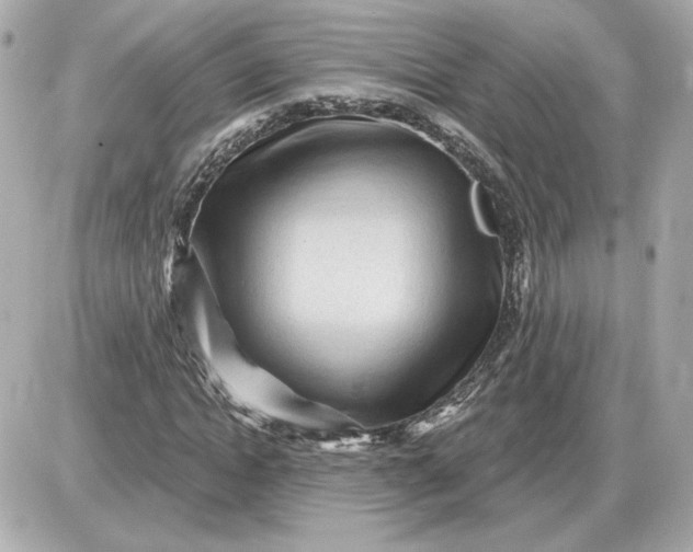 X0000087550822200705112119