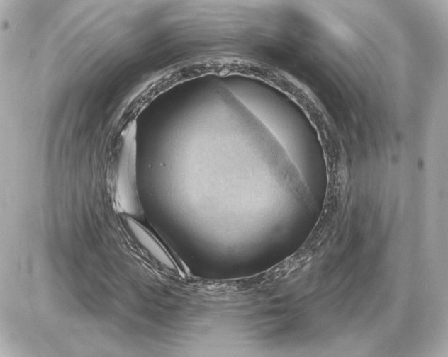 X0000087550823200705112119