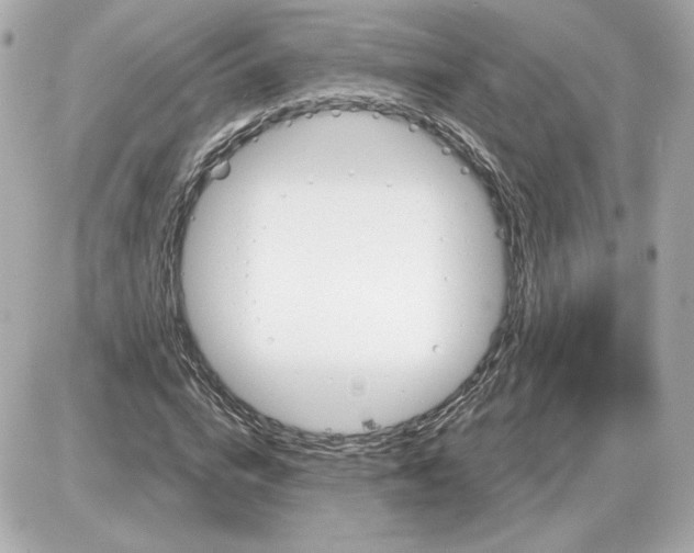 X0000087550824200705112119