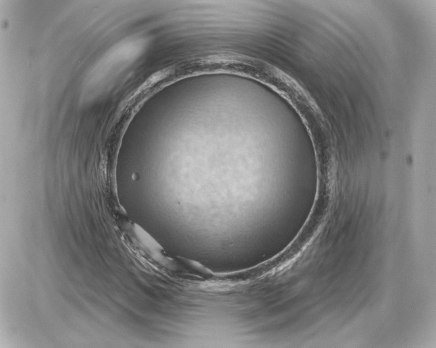 X0000087550825200705112119