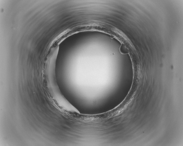 X0000087550826200705112119