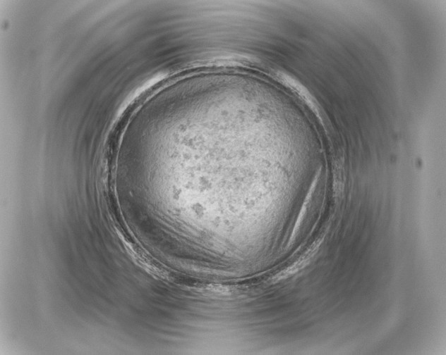 X0000087550827200705112119