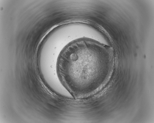 X0000087550828200705112119