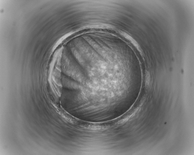 X0000087550829200705112119