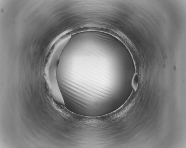 X0000087550830200705112119