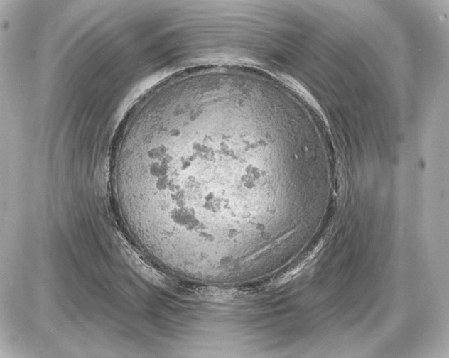 X0000087550831200705112119