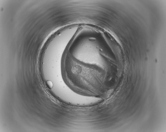 X0000087550832200705112119