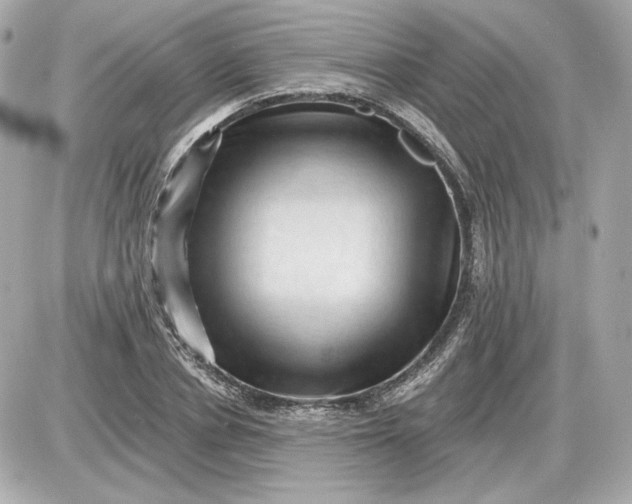 X0000087550834200705112119