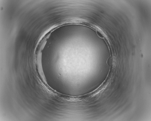 X0000087550835200705112119