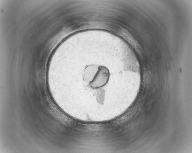 X0000087550836200705112119