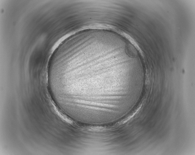 X0000087550837200705112119