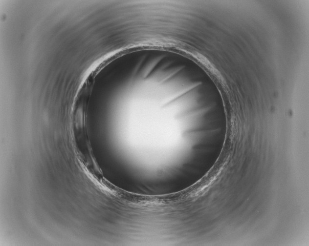 X0000087550838200705112119