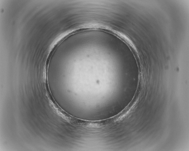 X0000087550839200705112119