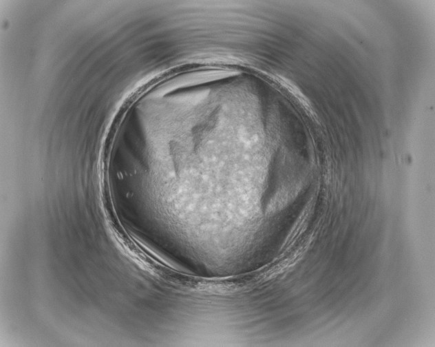 X0000087550840200705112119