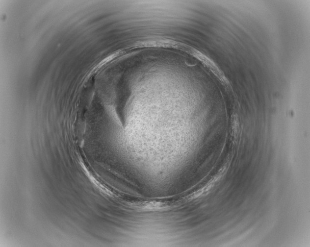 X0000087550841200705112119