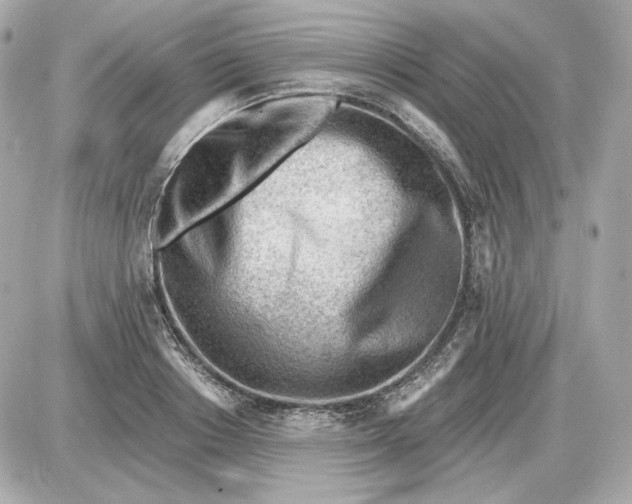 X0000087550842200705112119