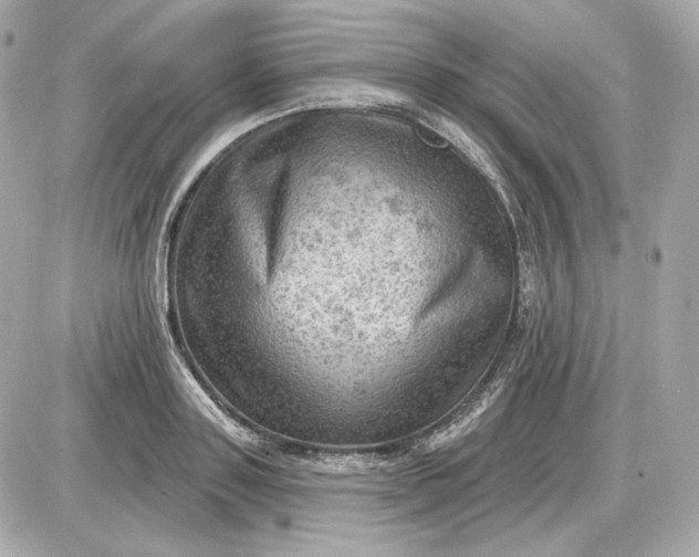 X0000087550843200705112119