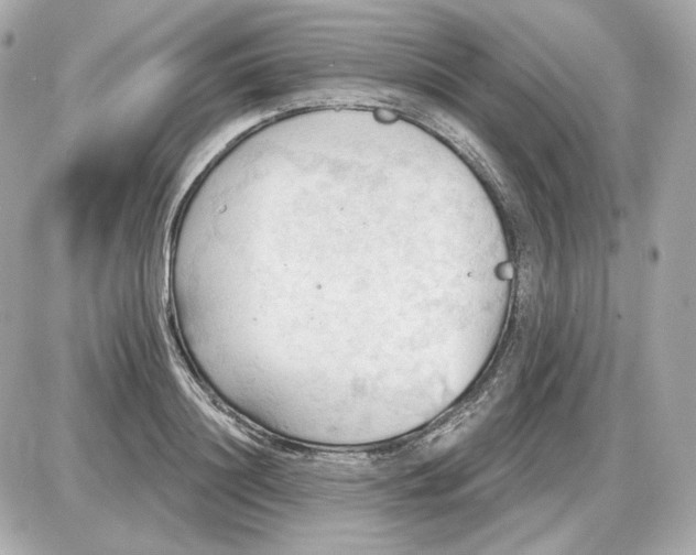 X0000087550844200705112119