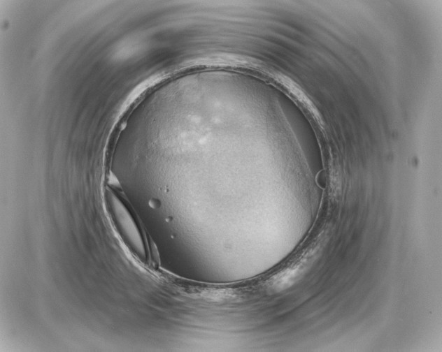 X0000087550845200705112119