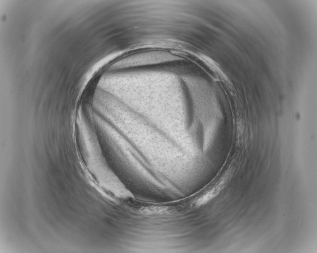 X0000087550846200705112119