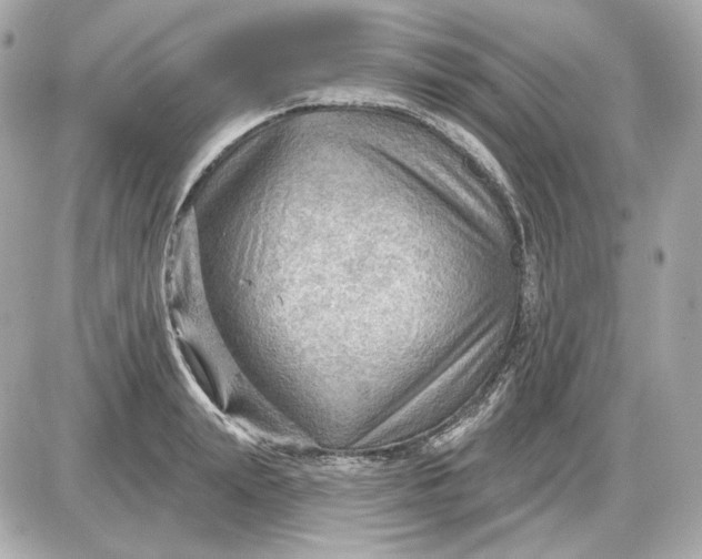 X0000087550847200705112119