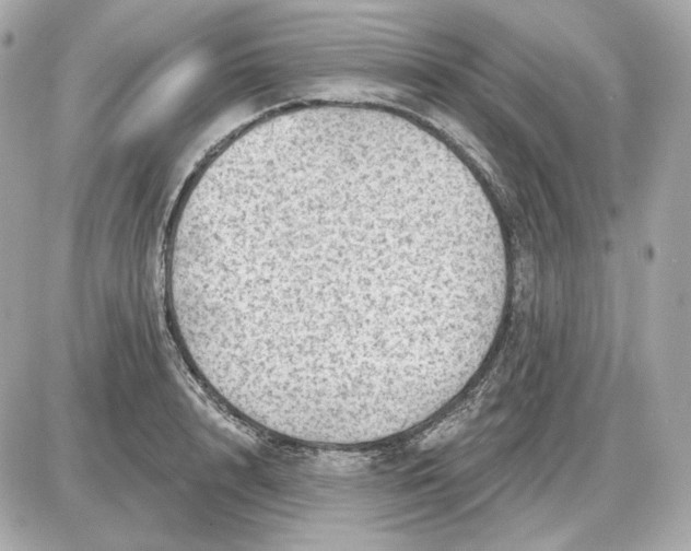 X0000087550848200705112119