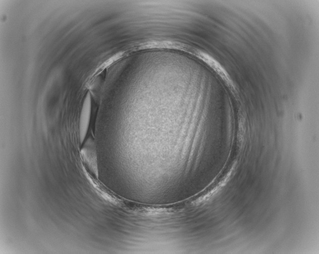 X0000087550849200705112119