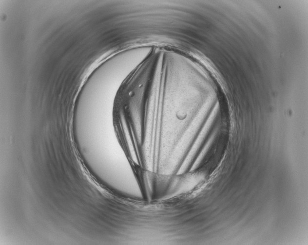 X0000087550850200705112119