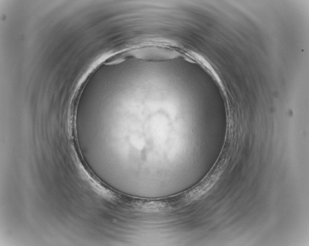 X0000087550851200705112119