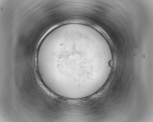 X0000087550852200705112119