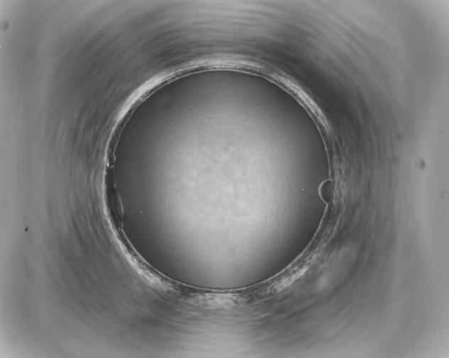 X0000087550853200705112119