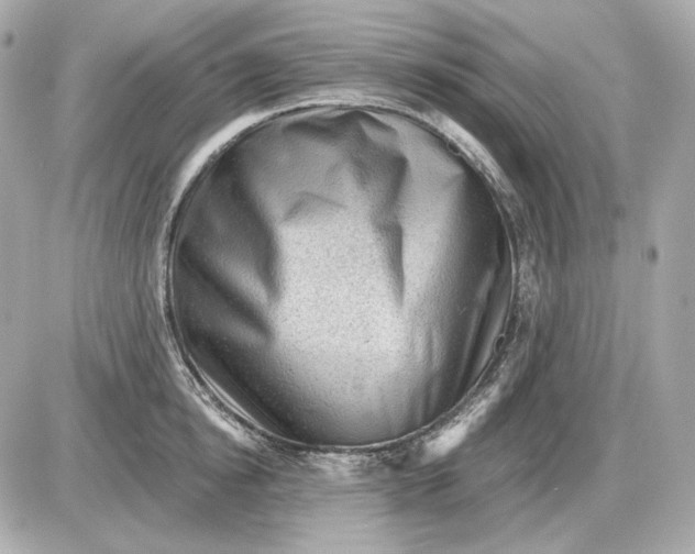 X0000087550854200705112119