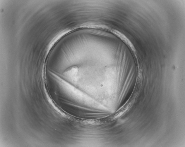 X0000087550855200705112119