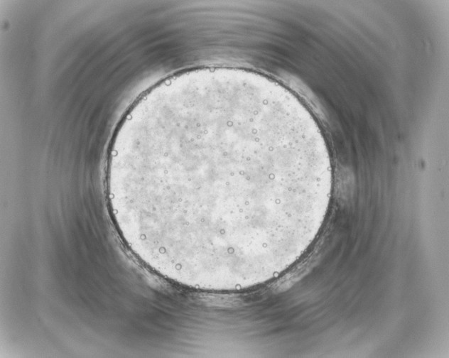 X0000087550856200705112119